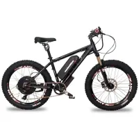 Электровелосипед Horza Cube LDM-T 1950W черный