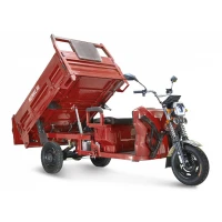 Грузовой электротрицикл Rutrike D5 1700 гидравлика (60V1200W) красный