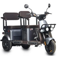 Электротрицикл Wanshida U1-X 60V 800Вт Коричневый